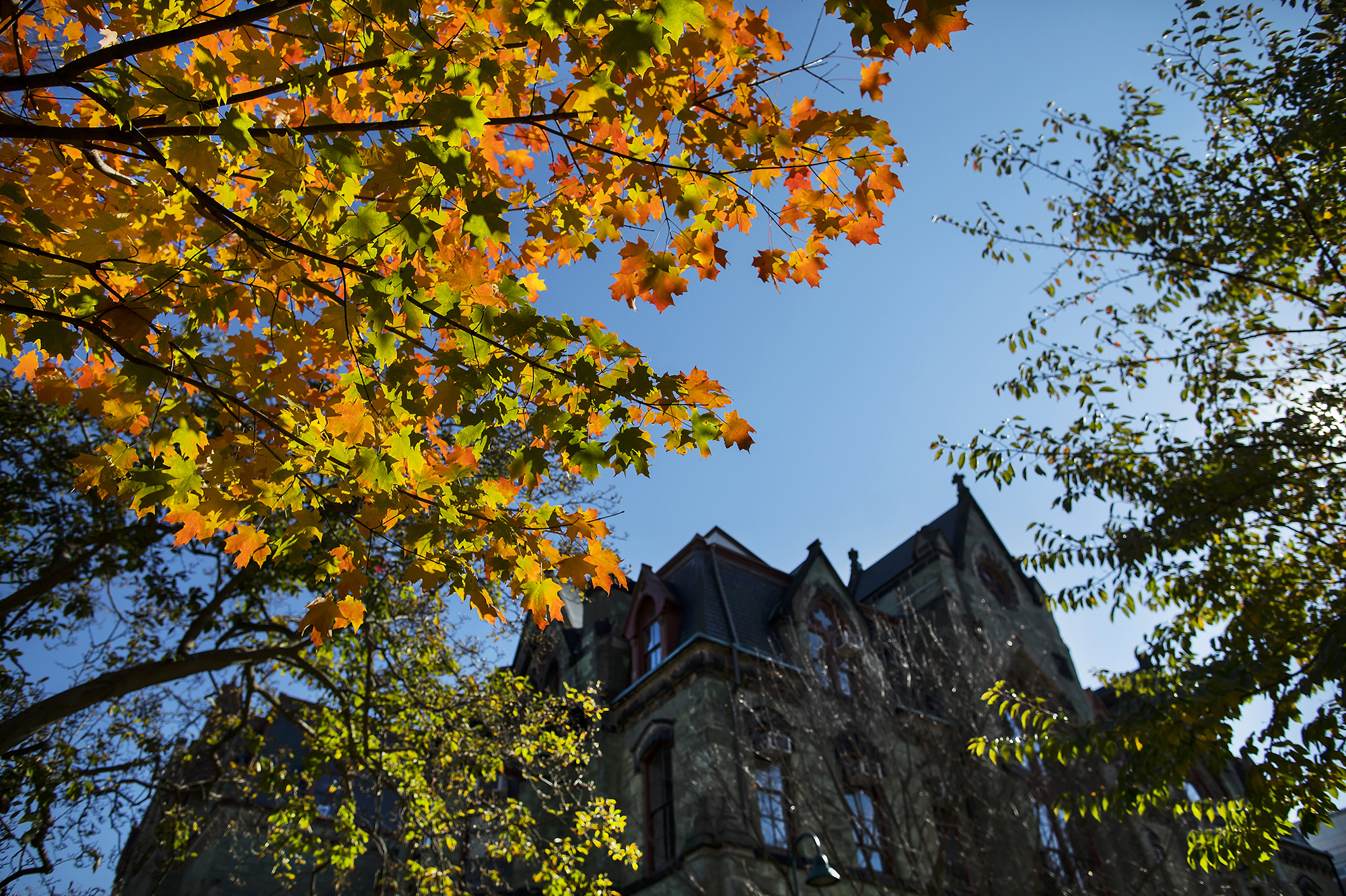 college hall with fall leaves
