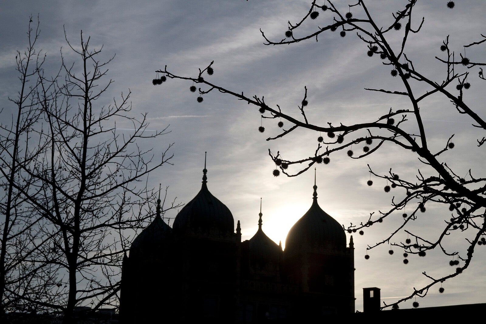 A silhouette of the main entrance to the Quadrangle