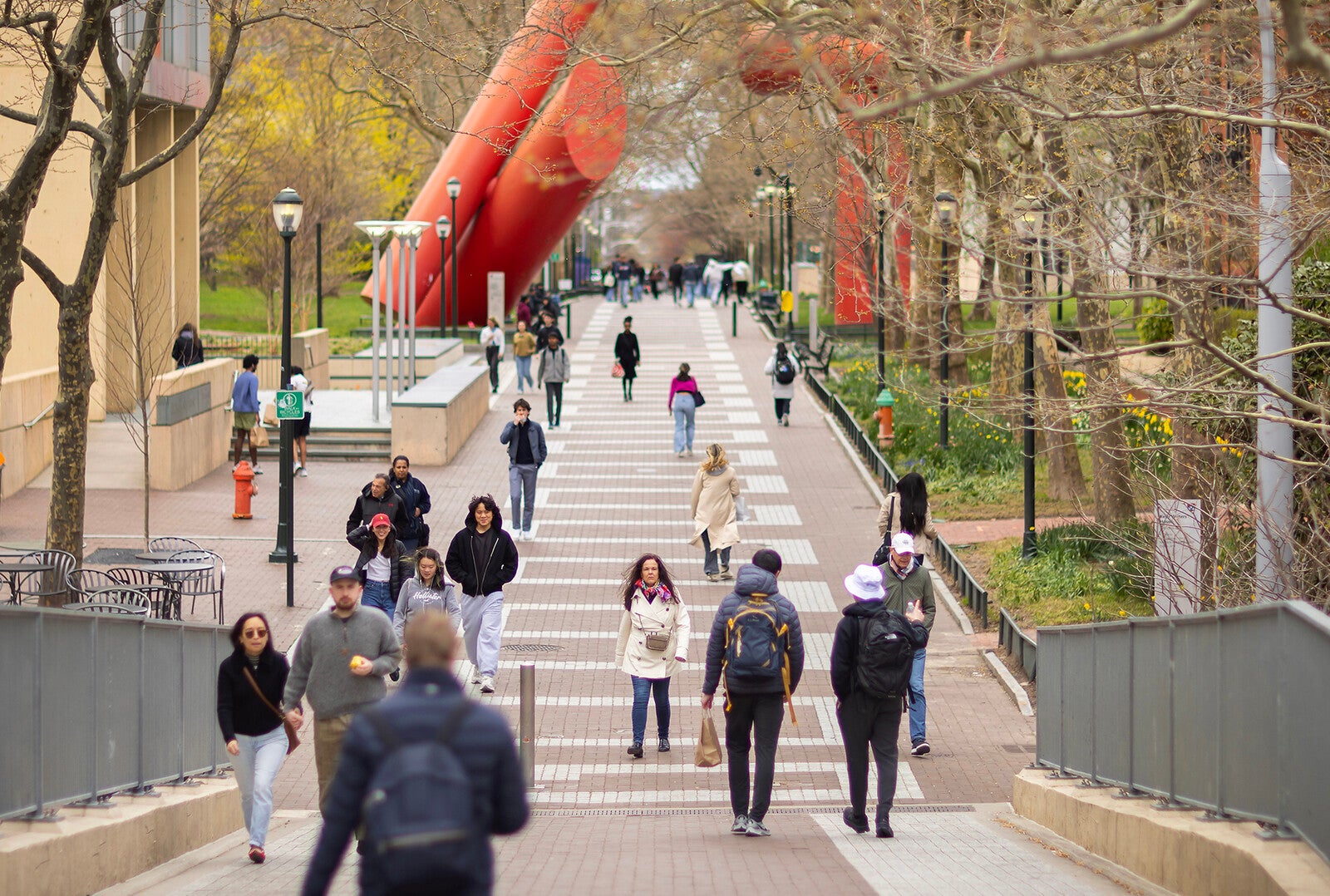 locust walk stock image of penn community