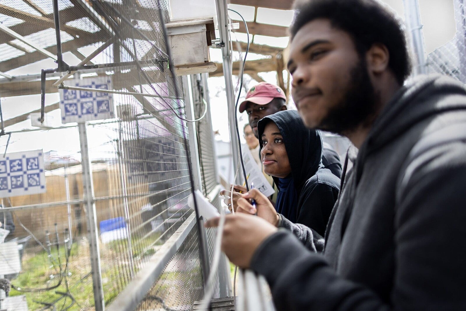 students at pennovation center looking at birds