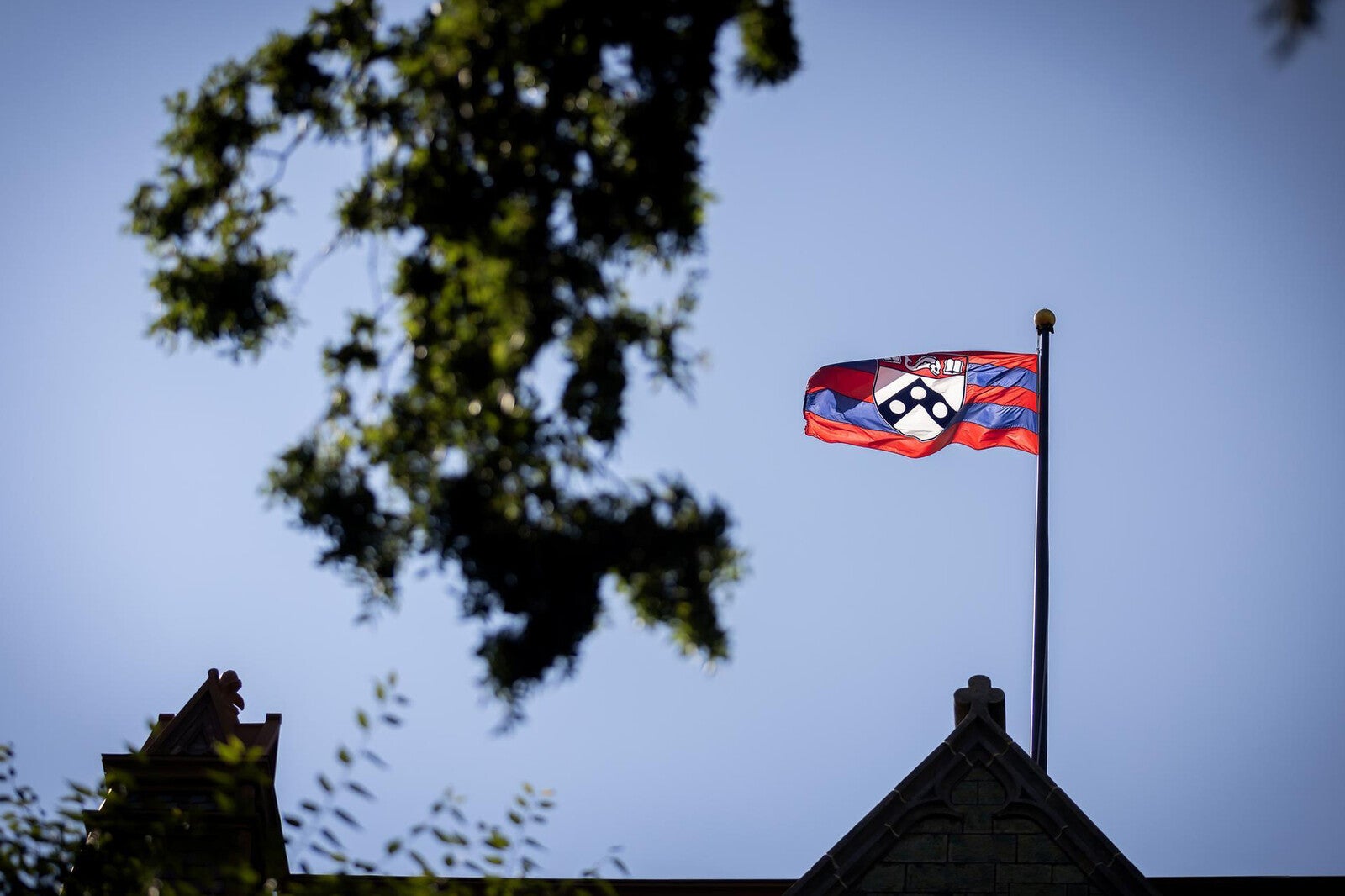 penn flag over college hall