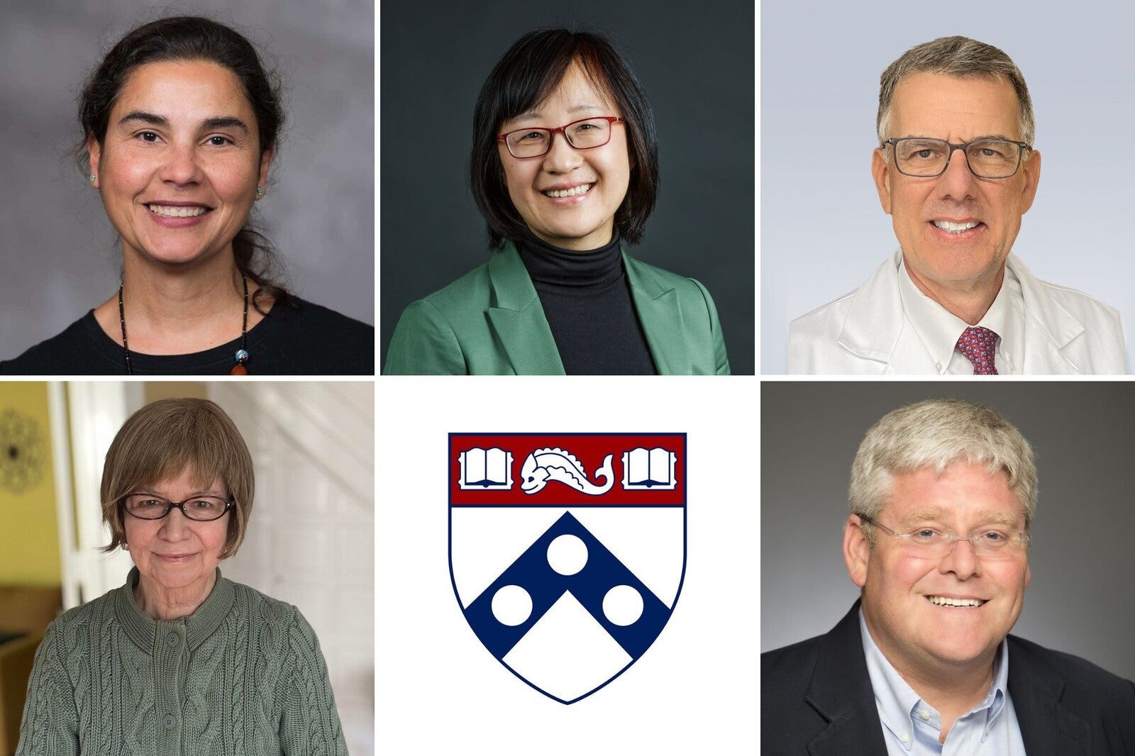 aaas fellows thumbnails