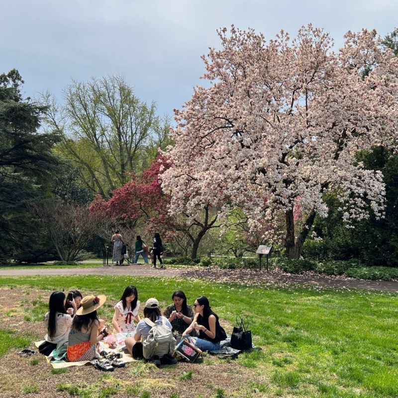 Group of 7 Penn graduate students having a picnic at Morris Arboretum.